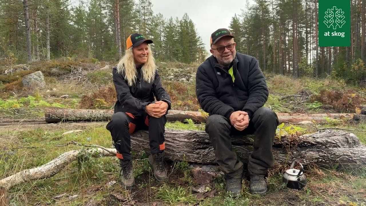 AT Studio: Tips til deg som skal hogge selv